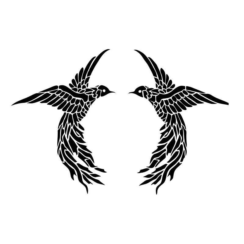 Birds