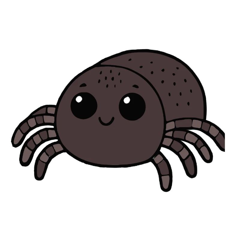 Spider Tarantula