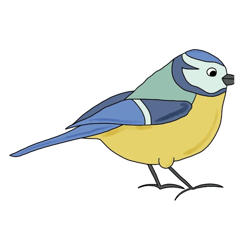 small blue, multicoloured