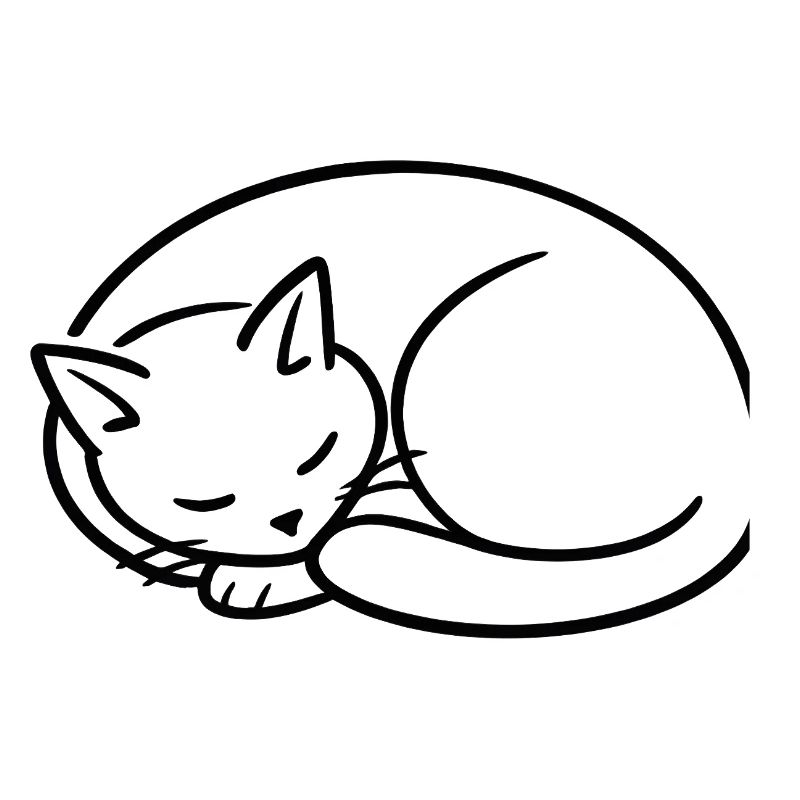 Étude de la lignée du chat endormi