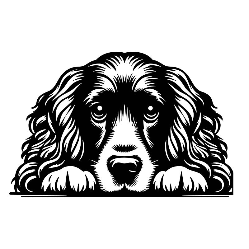 Cocker Spaniel Head with Paws