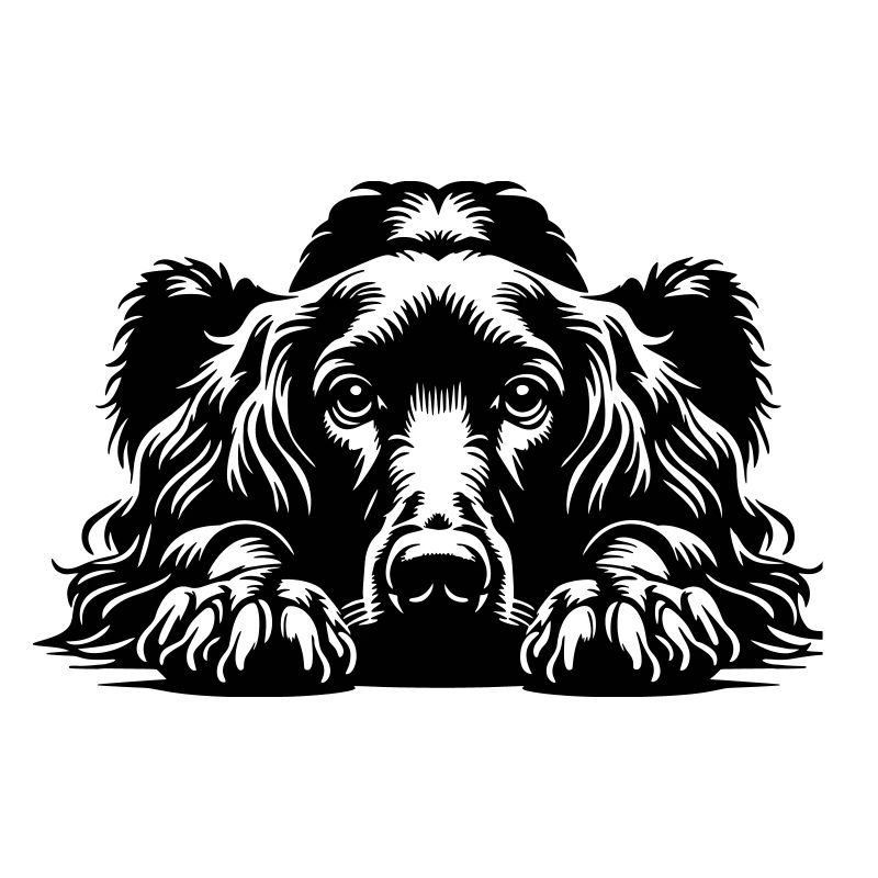 Irish Setter Head with Paws