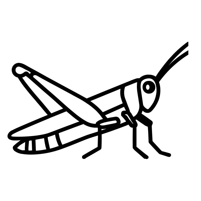 grasshopper
