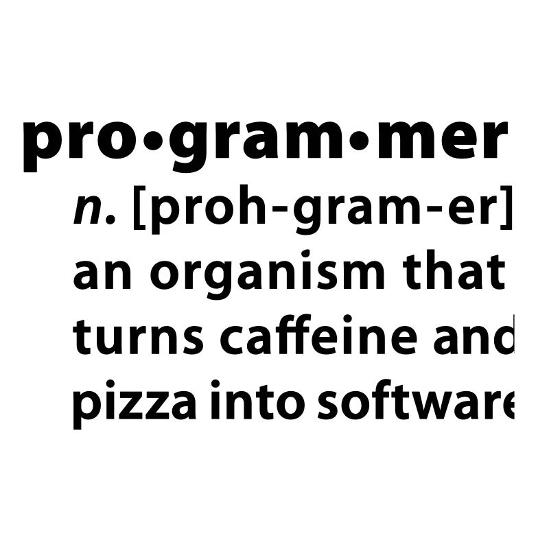 Programmer Wörterbuchdefinition