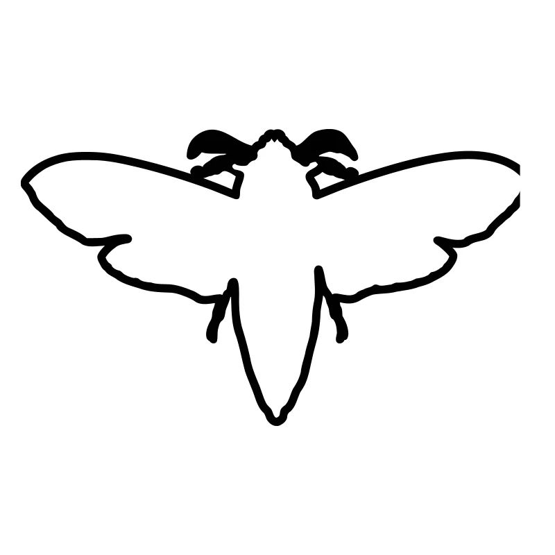 Motte 2