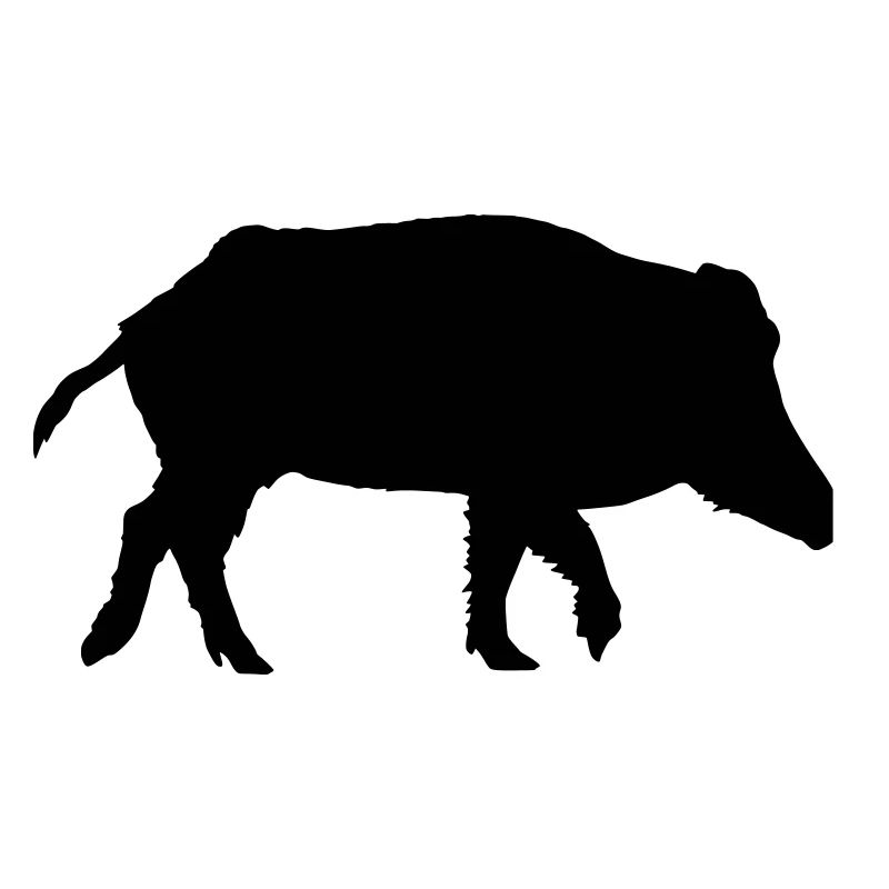 Wild boar