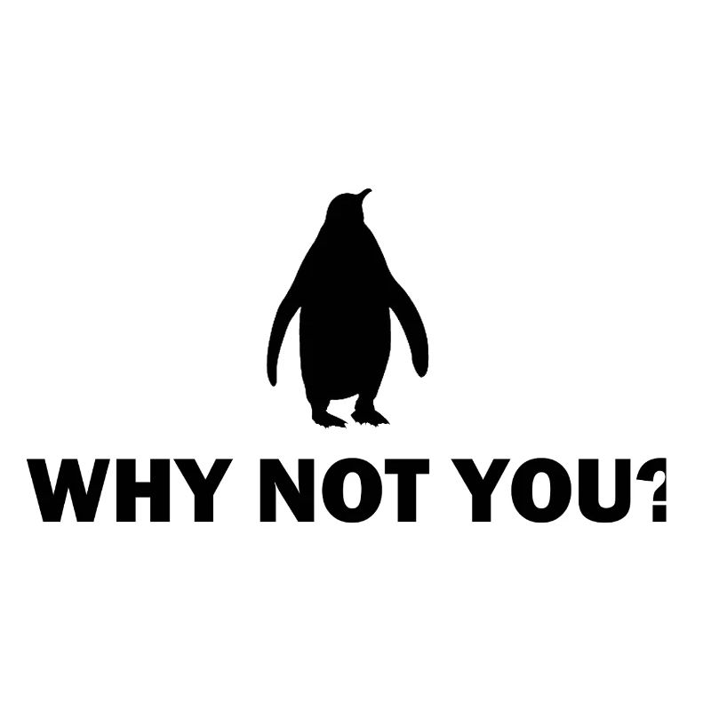 Penguin Motivation Design - Pourquoi pas vous