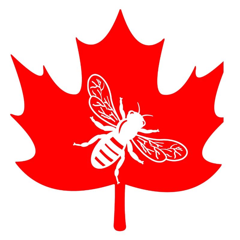 Canada white bee in maple leaf beekeeper logo