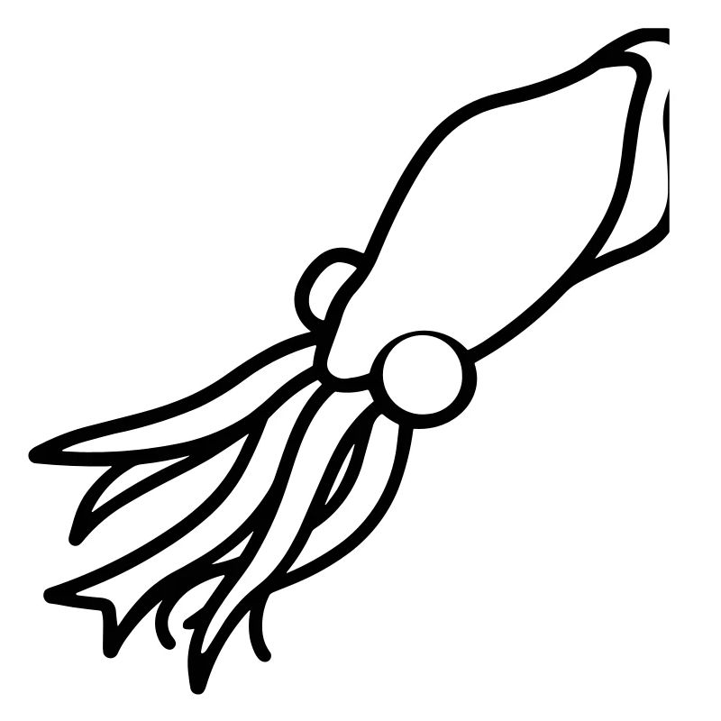 squid