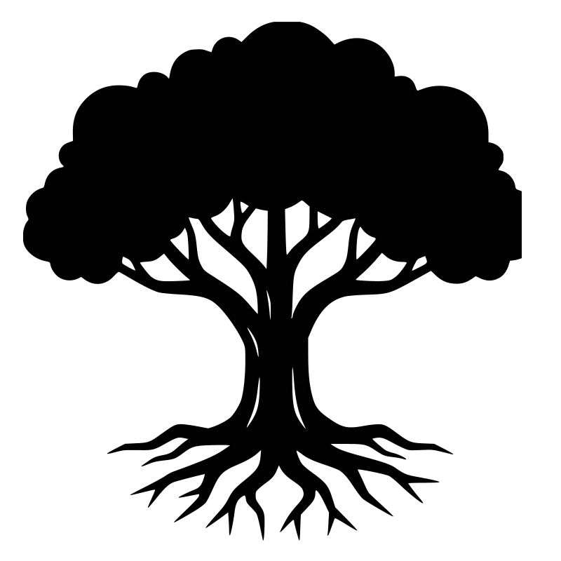 Tree Roots Silhouette Nature