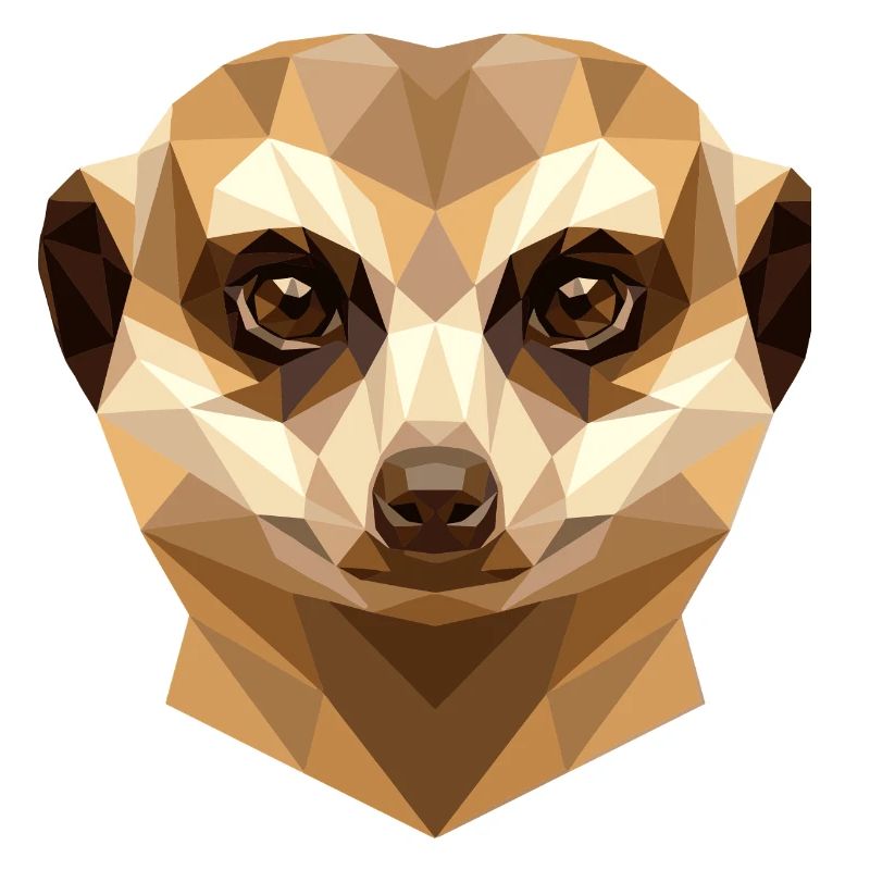 Suricate Suricate Douce Mangouste Suricate