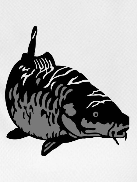 Carp