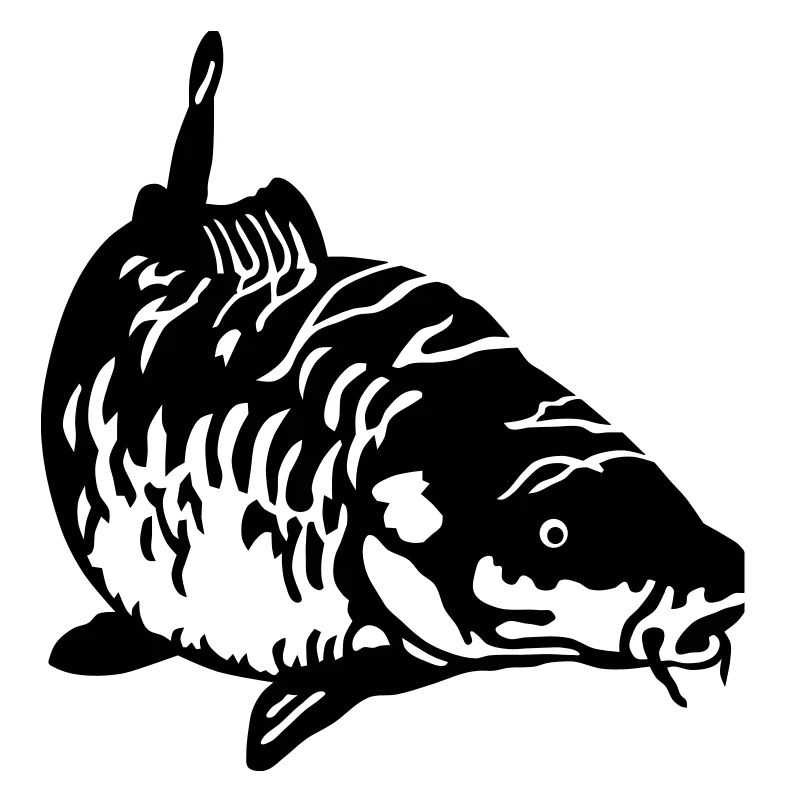 Karpfen