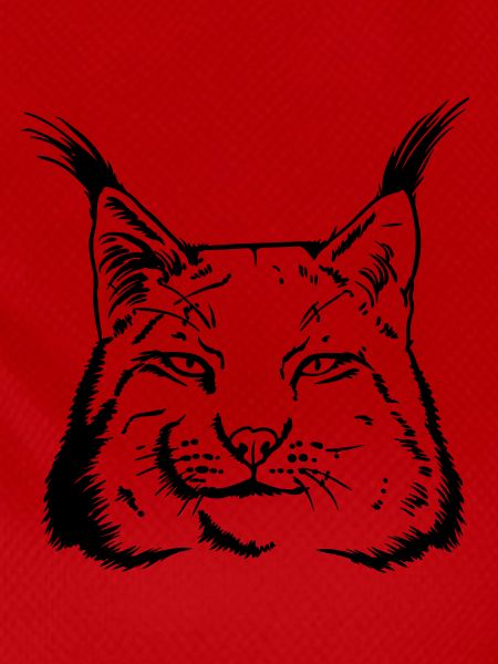 lynx