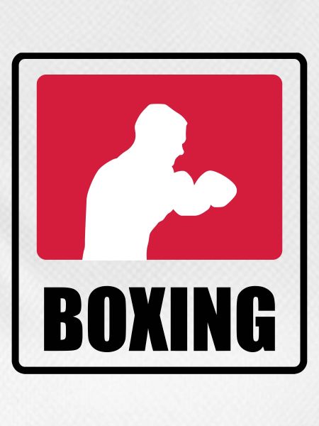 Boxer - Boxing 🥊