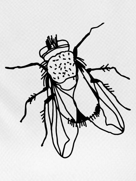 Bow tie - transparent