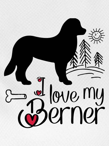 Bernersennehund