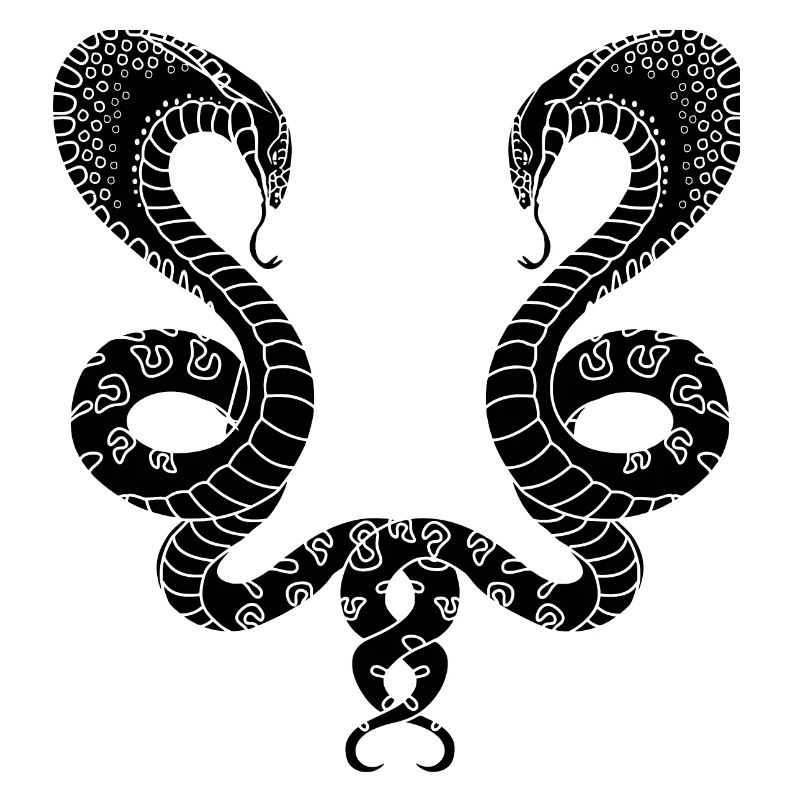 Two black snakes