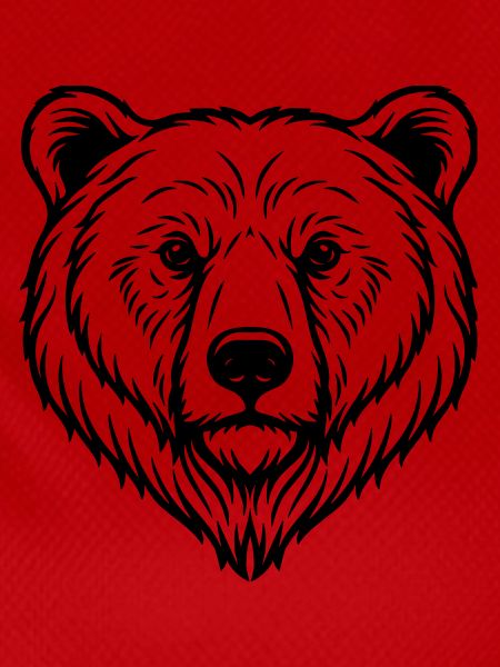 Bear Illustration