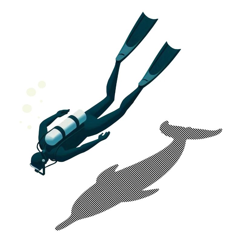 Diver & Dolphin Shadow Illusion