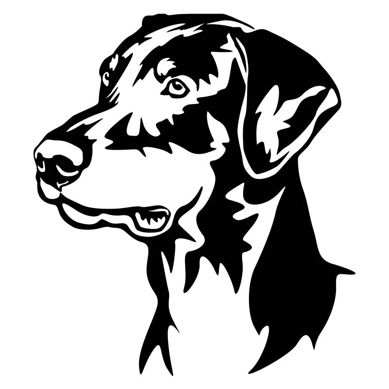Dobermann Kopf