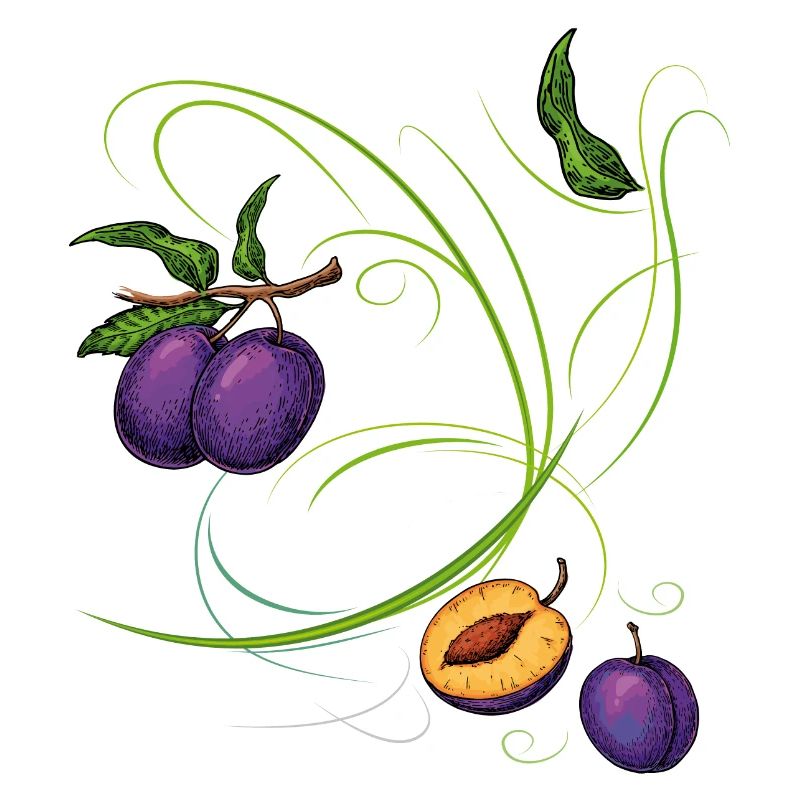 Prunes, fruit