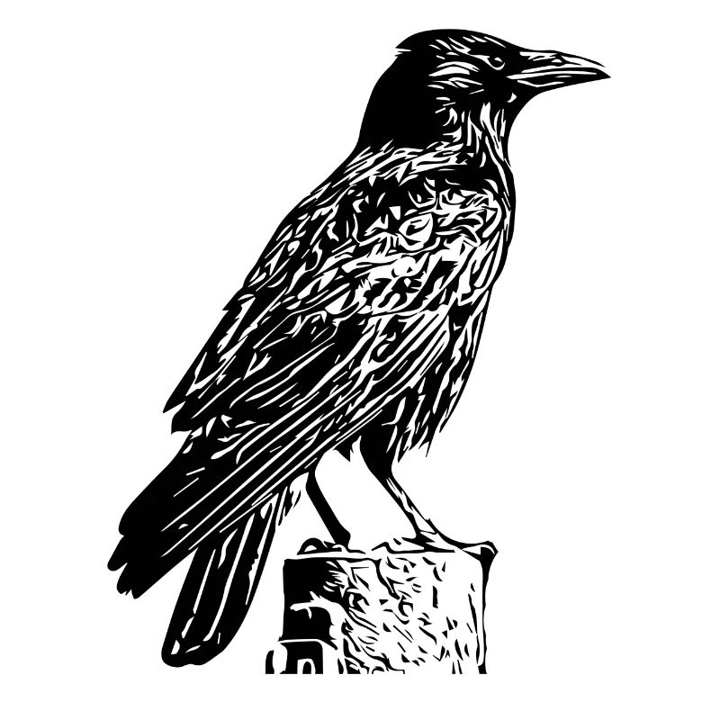 corbeau noir
