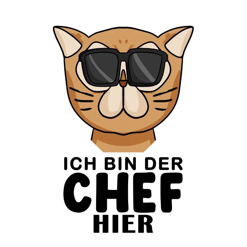 Cool Katze Perserkatze Chef Spruch