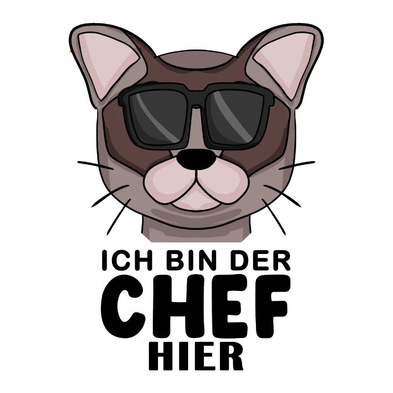 coole Katze - Burma Katze - Chef Spruch