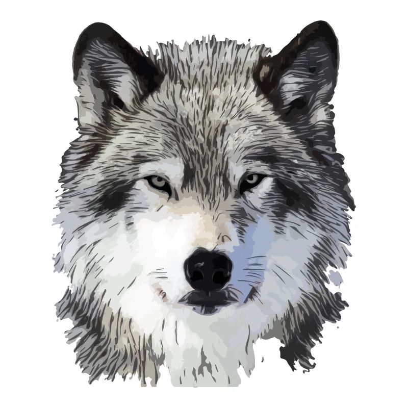 Le Loup