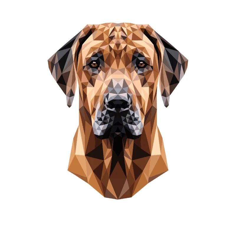 Chiens de chasse Rhodesian Ridgeback Pride Ridgeback