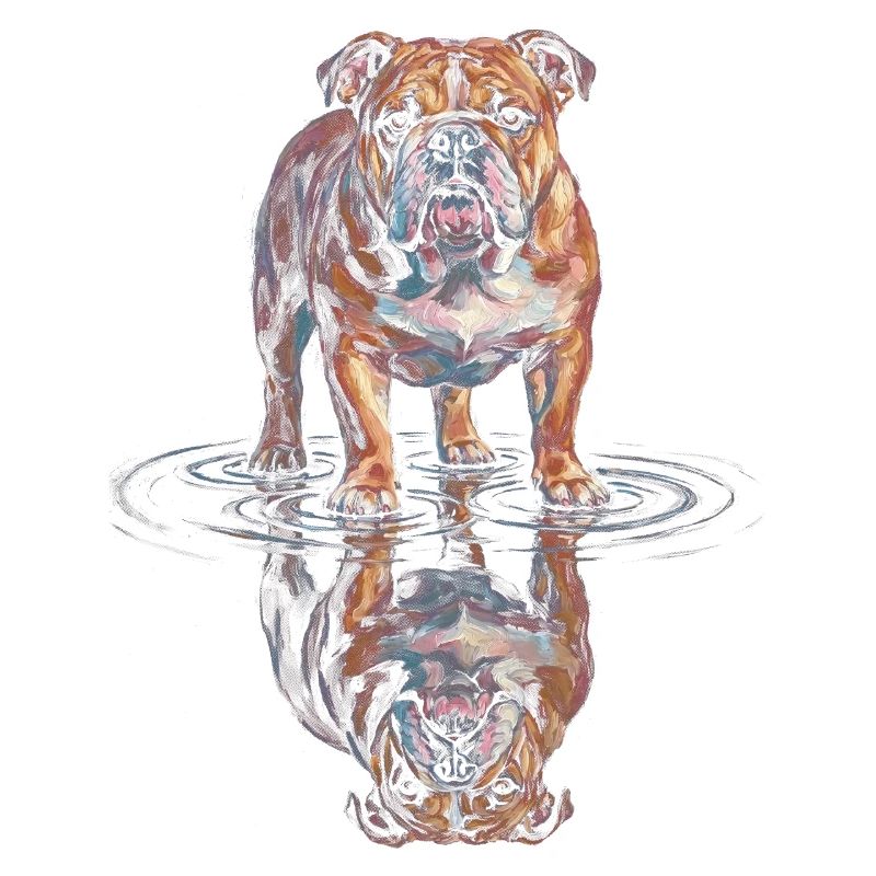 Bulldog Water Reflection