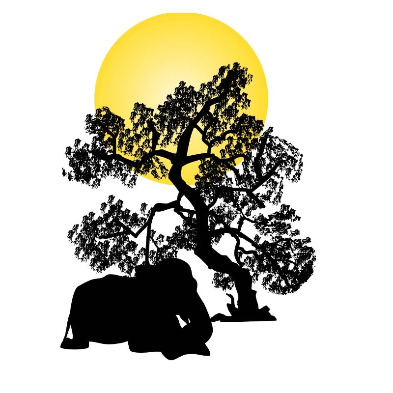 Yellow moon over tree silhouette
