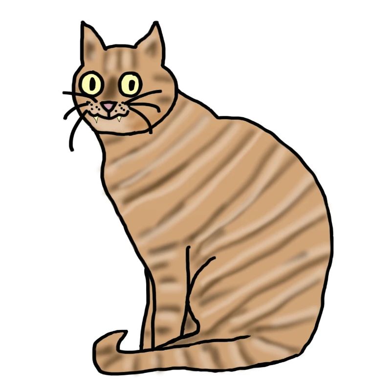 Katze