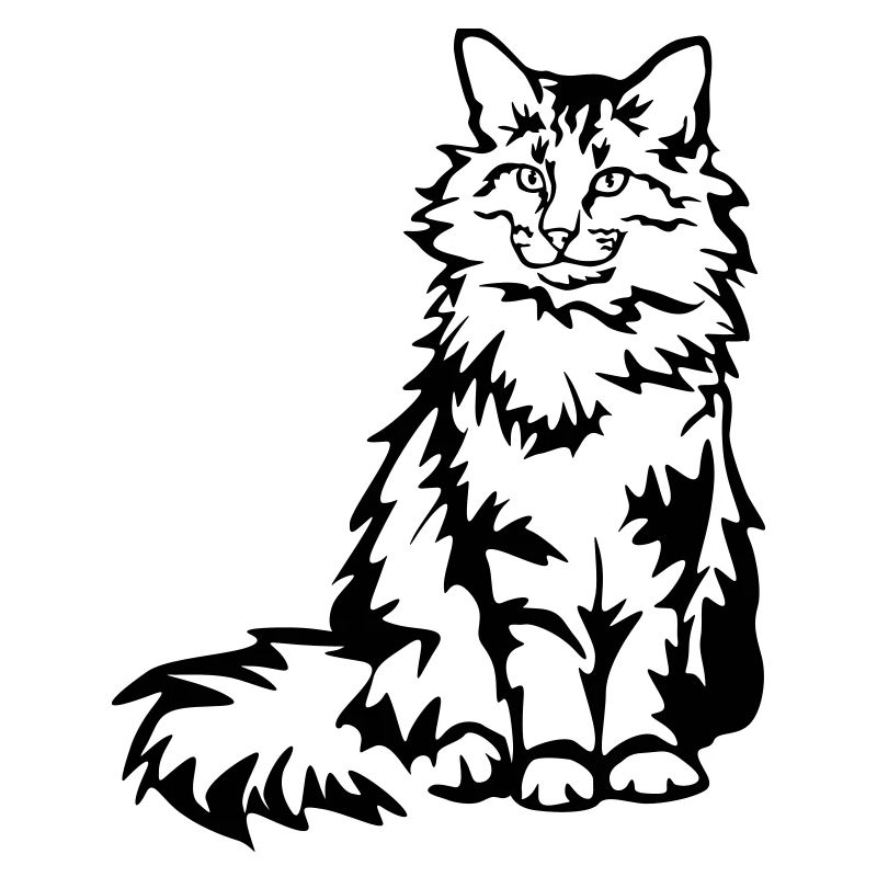 Chat des forêts norvégiennes