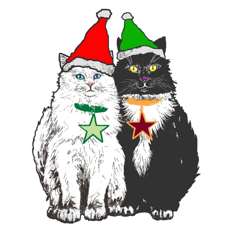 LES CHATS DE NOËL