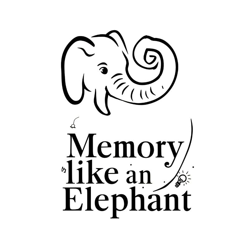 Memory Like an Elephant