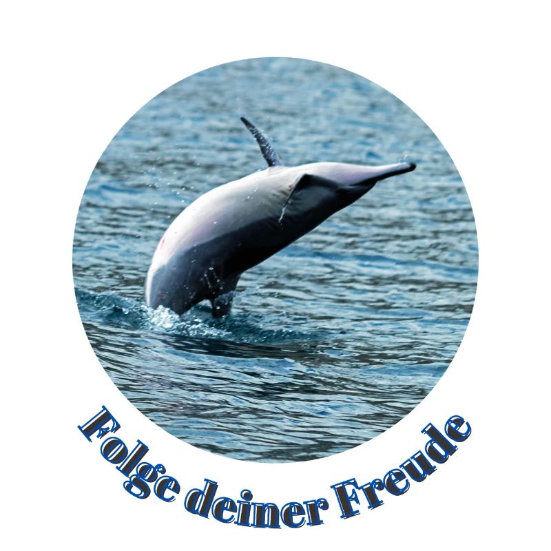 Pure joie de vivre – Jumping dolphin off Mauritius