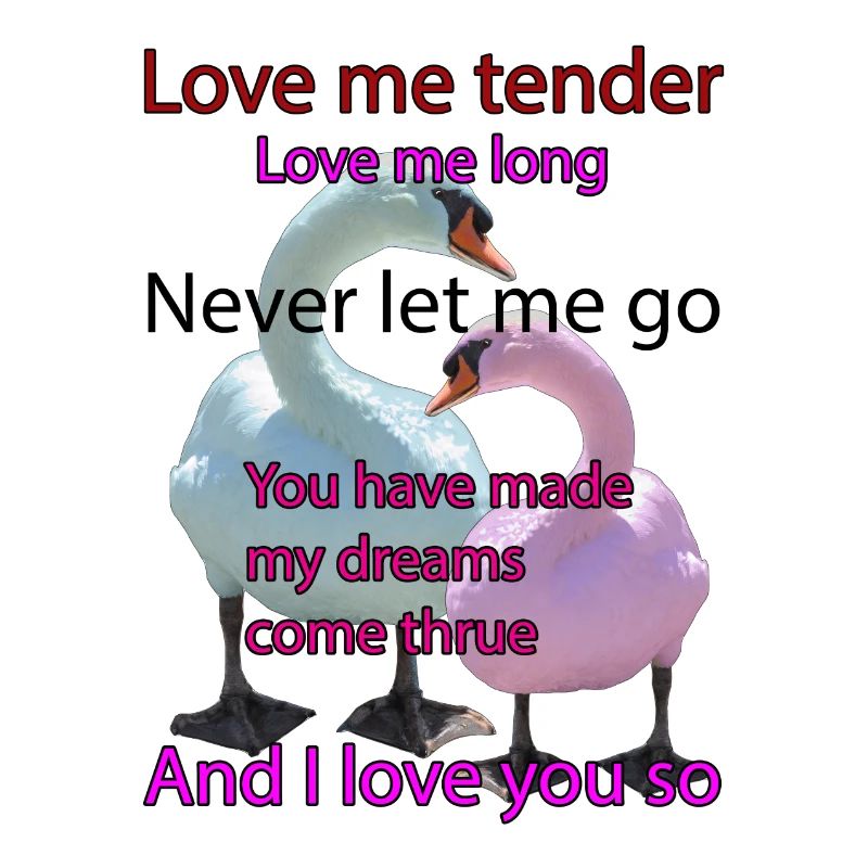 Swans: Love me tender