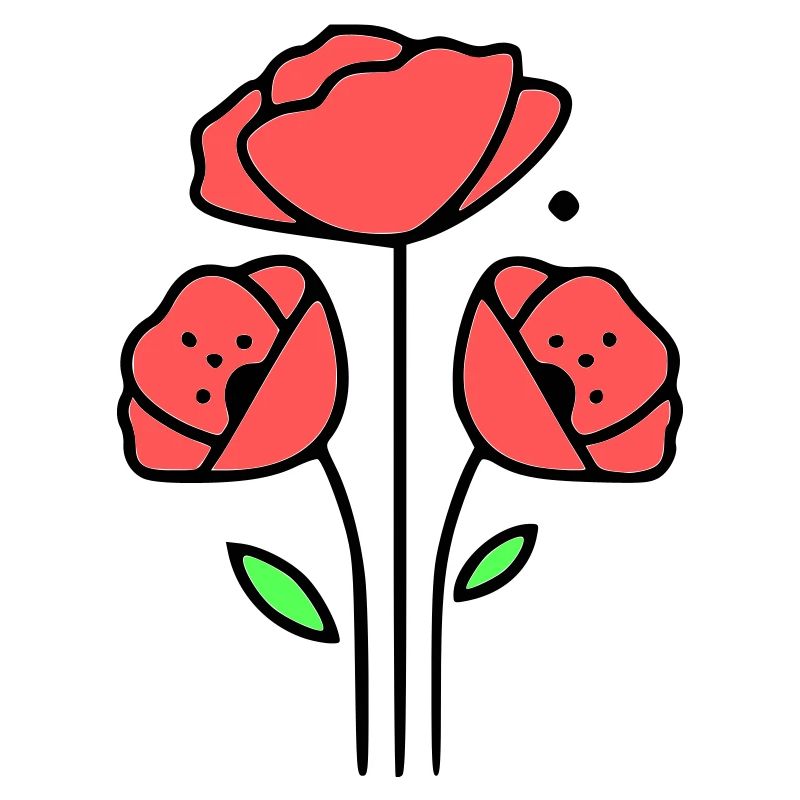 Coquelicots-coquelicots-minimaliste-Line-Art-1