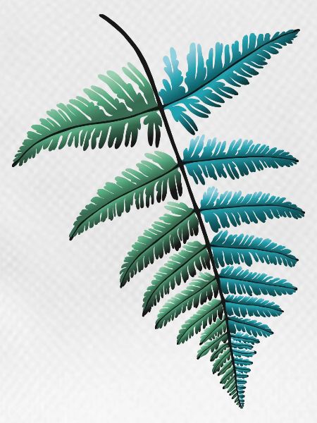 Fern Fern Leaf
