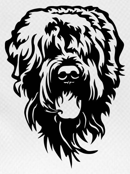 Russian Terrier Head