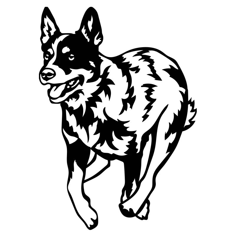 Australian Cattle Dog