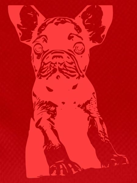 Bulldog