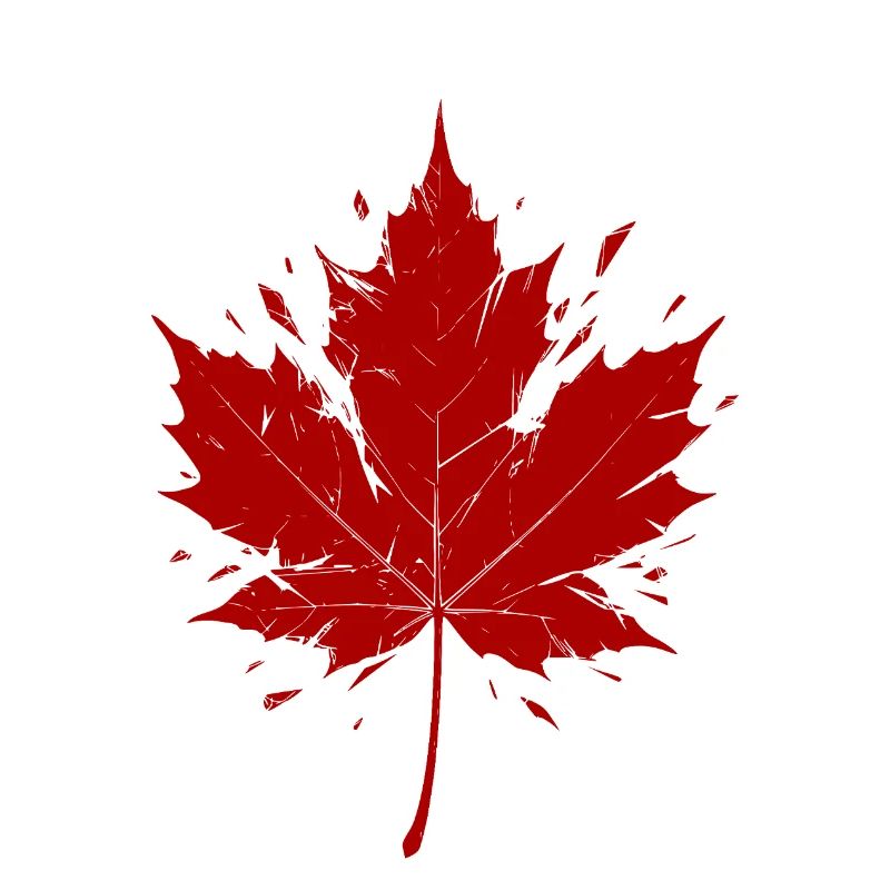 Feuille d’érable rouge fragmentée
