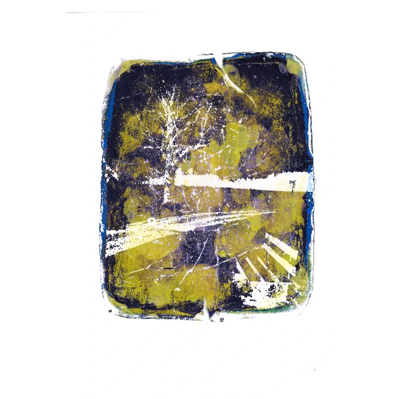 Bench with lime tree