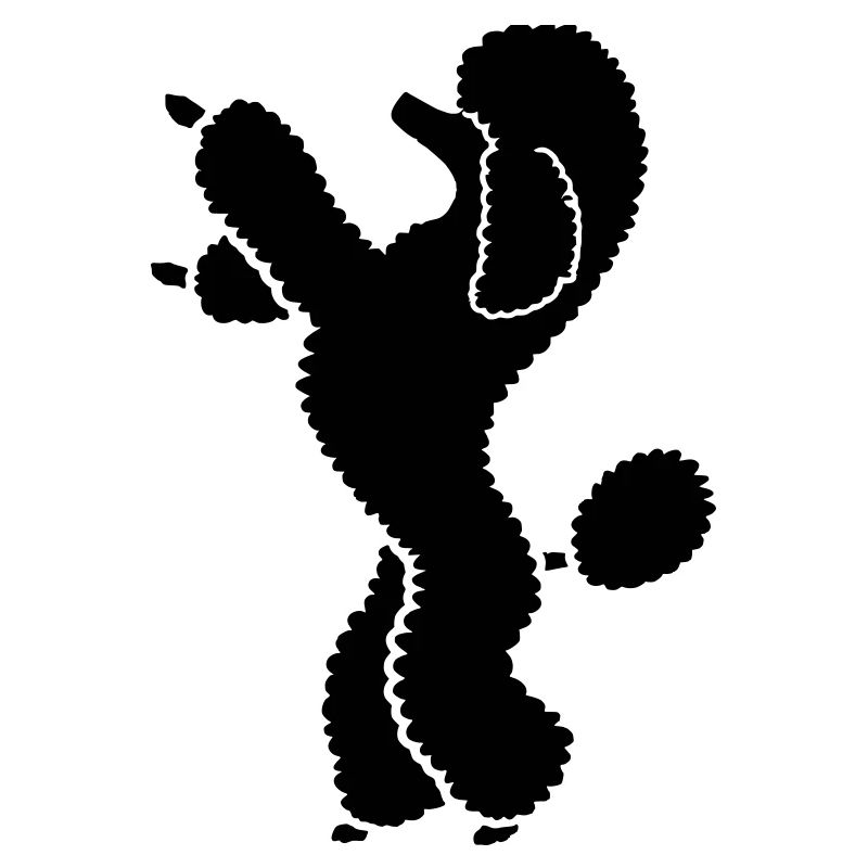 Pudel poodle