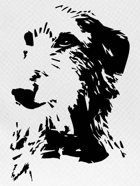 Scottish Deerhound head