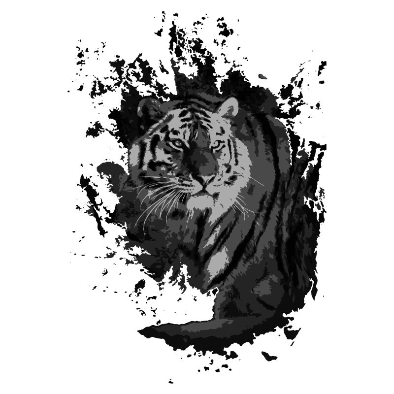 Tiger in the Shadows