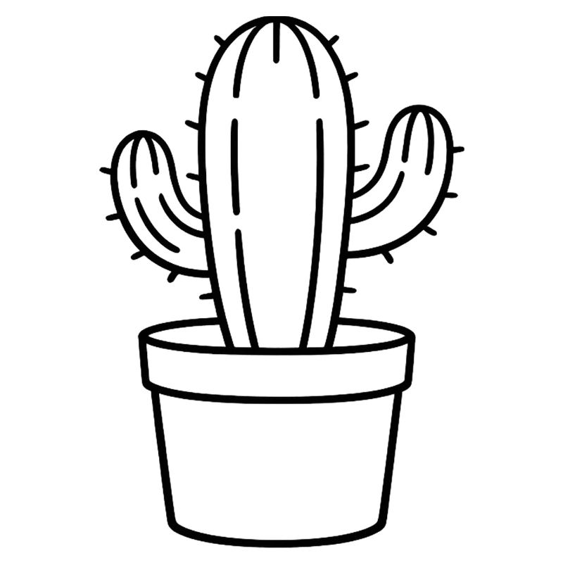 Cactus in a pot – Minimalist cactus